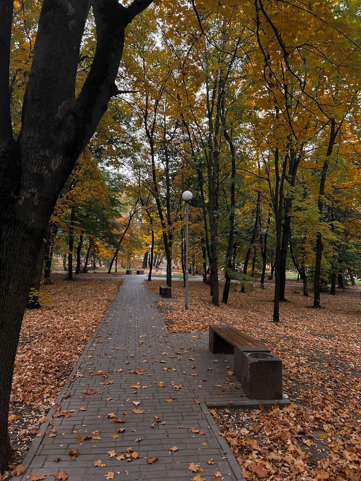 Belajar Menikmati Hari dengan Langkah yang Lebih Santai